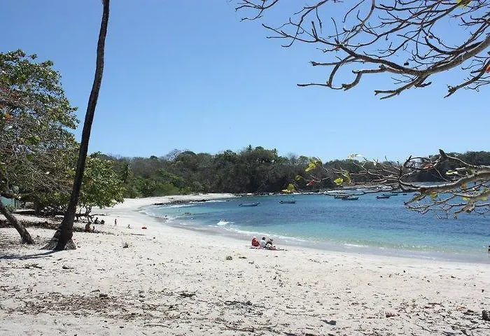 Auberge de jeunesse Cabinas Surf Arribadas Ostional Wildlife Refuge