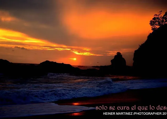 Cabinas Surf Arribadas Ostional Wildlife Refuge