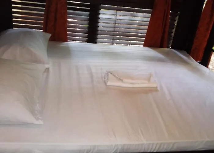 Cabinas Surf Arribadas
